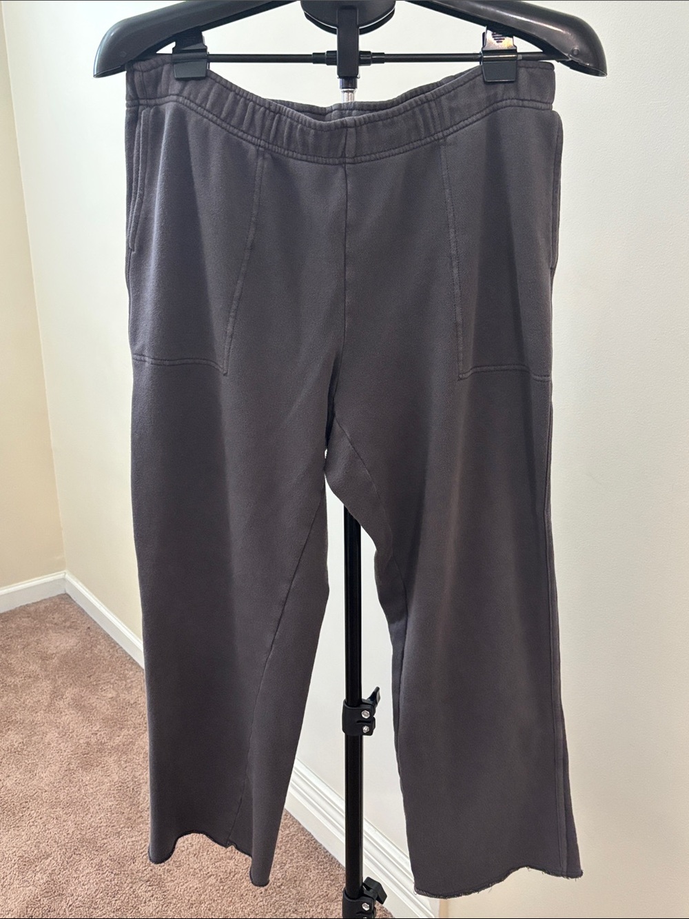 Aerie Cropped Elastic Waist Pull on Pant size Large